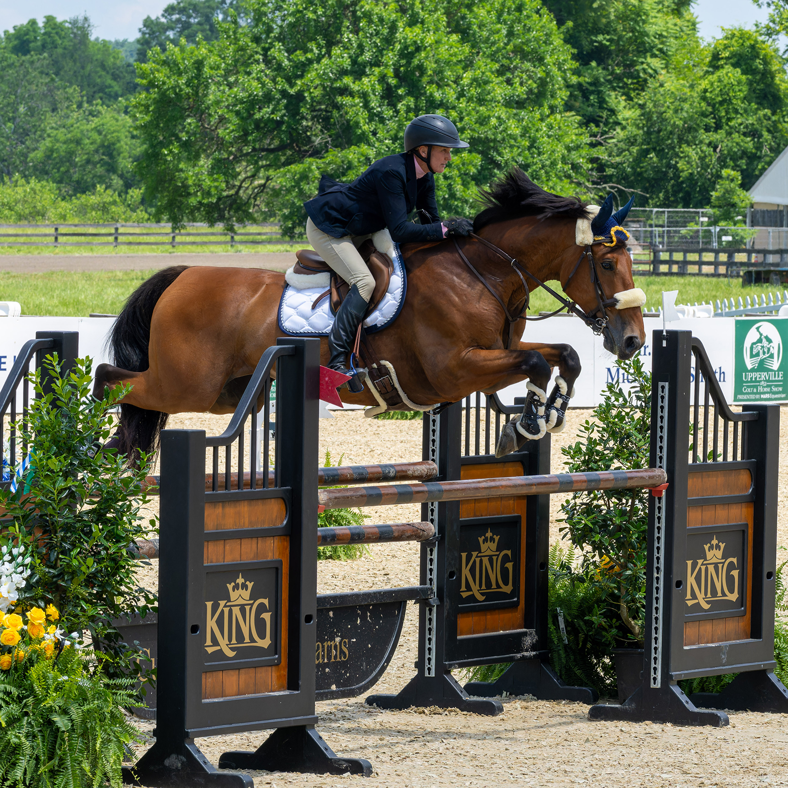 Upperville Colt and Horse Show 2024